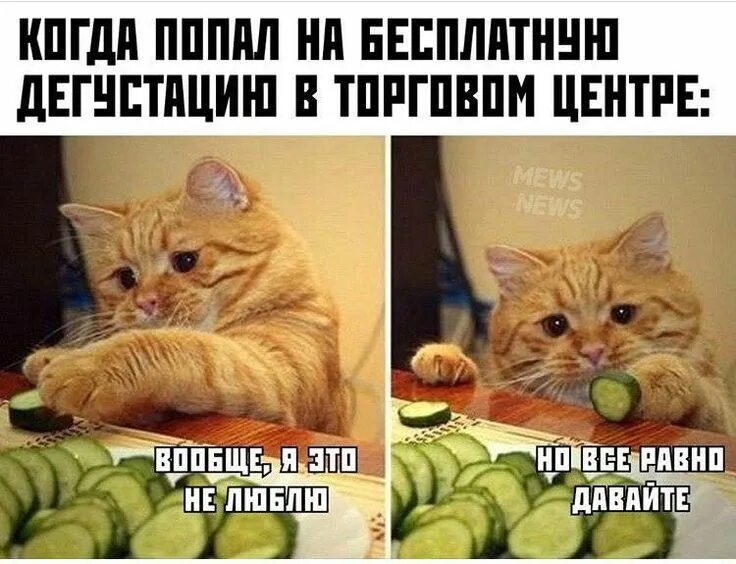 Ответы Mail.ru: любовь любовью... а обед по расписанию?) как еда влияет на любов