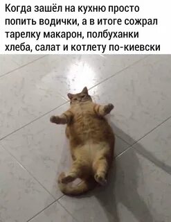 Поднять настроение приколами