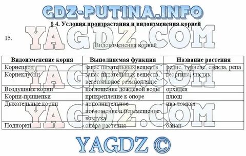 Решеба по биологии 6