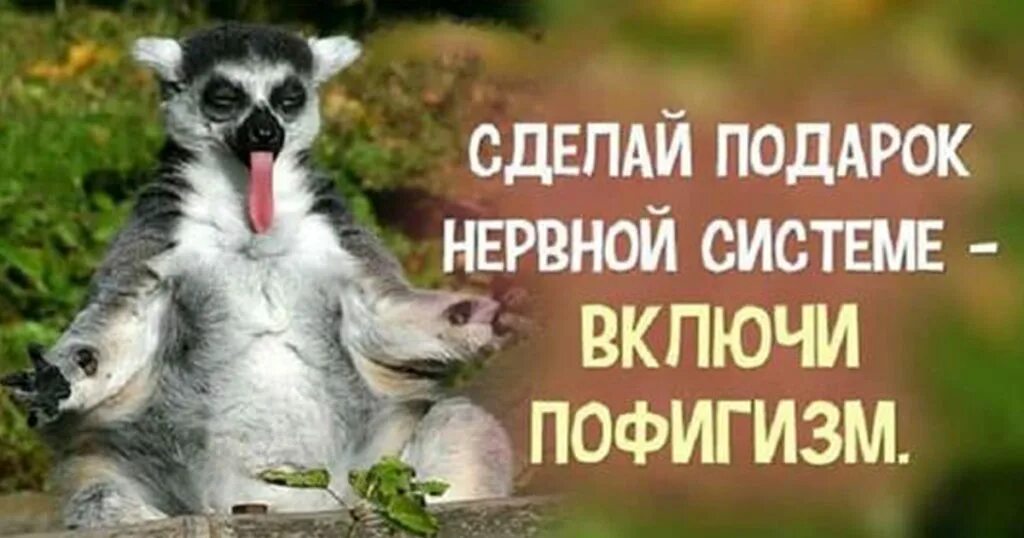 Включи это то от чего. Сделай подарок нервной системе. сделай подарок нервной системе включи пофигизм. пофигизм картинки. весёлый пофигизм.
