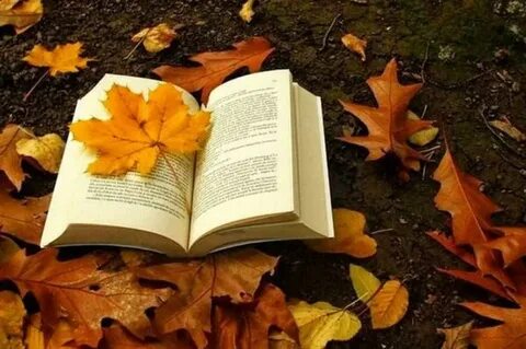 Осень жизни книга