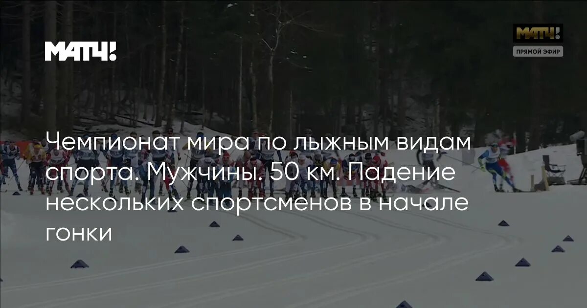 Падал много раз на теле сотни. Падал много раз на теле сотни. Падал много раз на теле сотни. Успехи детей цитаты. Цитаты волка падал.