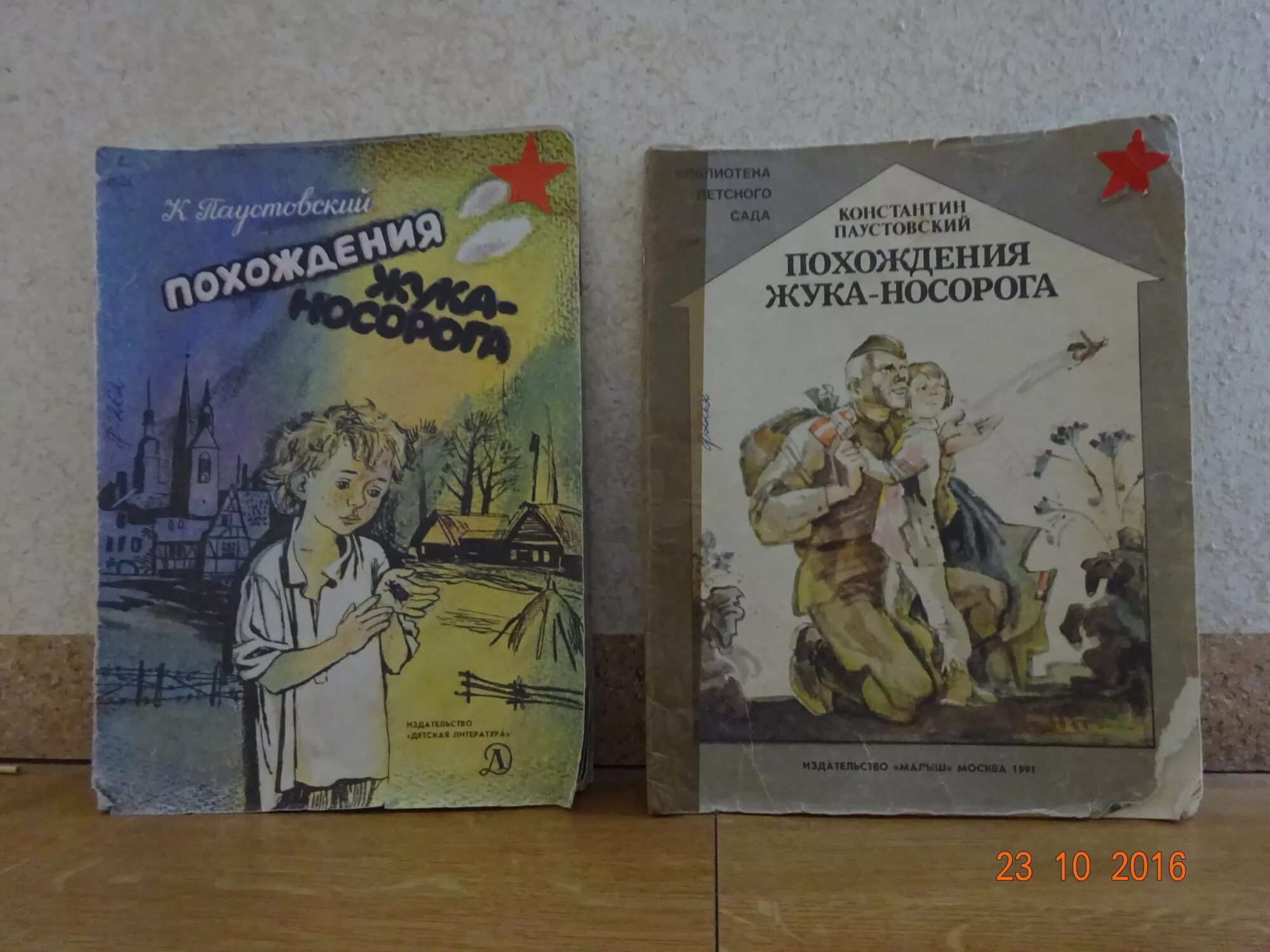 К Г Паустовский похождения жука-носорога. Книга Паустовский похождения жука носорога. Похождения жука-носорога Паустовский иллюстрации. Иллюстрации к книге похождения жука носорога.