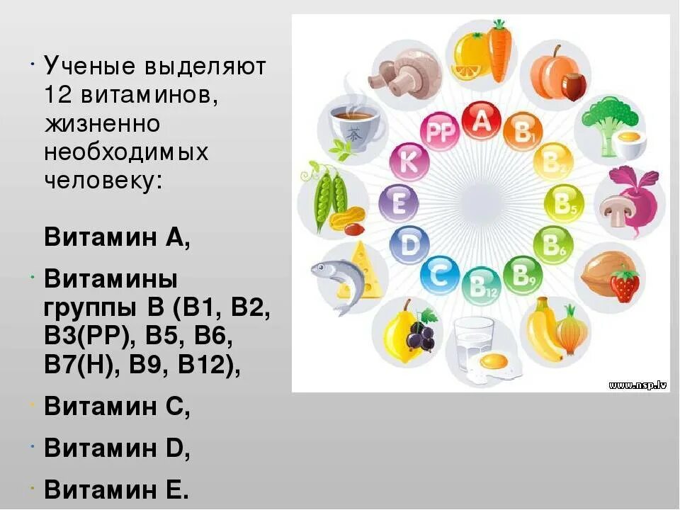 Можно принимать витамины летом. Витамины для человека. Витамины важные для человека. Необходимые витамины для человека. Витамины необходимые для организма.