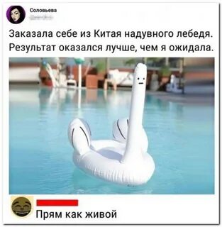 Лебедь китай отзывы