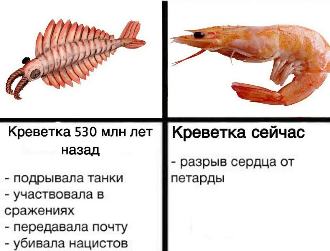 Что было год назад