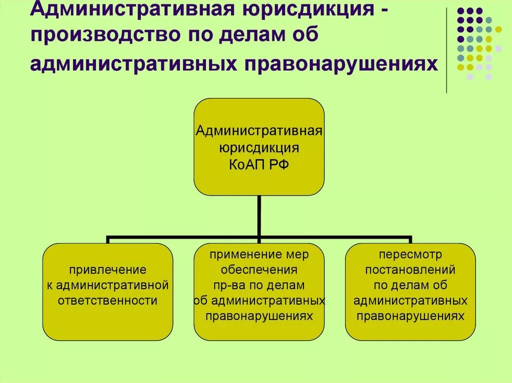 Структура производства по делам об административных правонарушениях. Виды административной юрисдикции. Структура административной процедуры. Формы административной юрисдикции. Осуществляющего производство по делу об