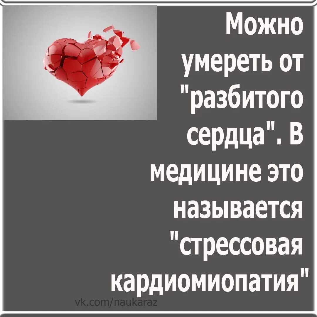 Может разбиться сердце если оно не бьется. Цитаты с разбитым сердцем. цитаты о разбитом сердце. фразы про разбитое сердце. цитаты про разбитые сердца.