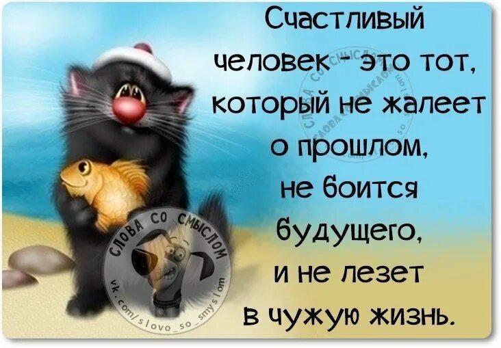 Прикольные картинки со смыслом. Весёлые цитаты со смыслом. Смешные цитаты про жизнь со смыслом. Афоризмы про жизнь со смыслом прикольные. Фразы со смыслом смешные.