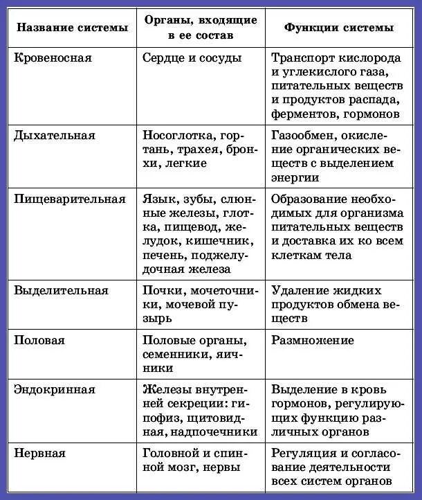 Наука изучающая функцию органов называется. Наука изучающая функцию органов называется