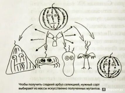 Получилось слаще