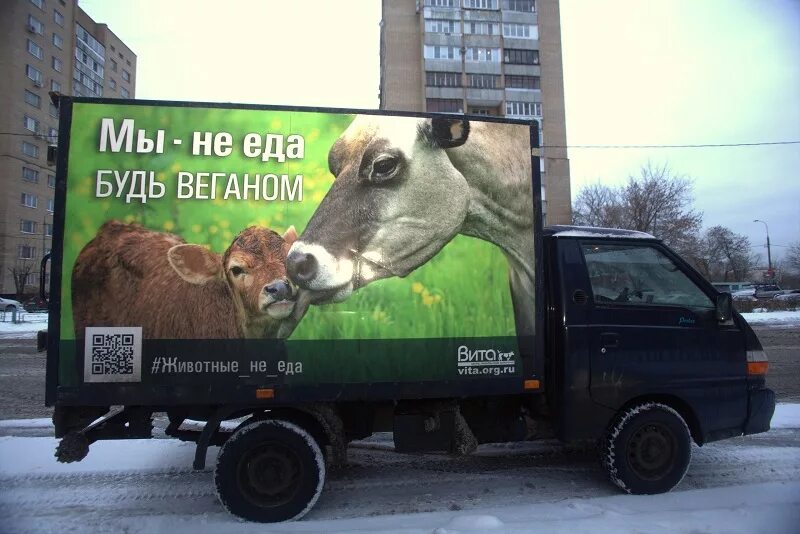 Веган животное