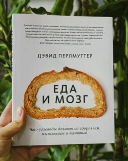 Еда и мозг