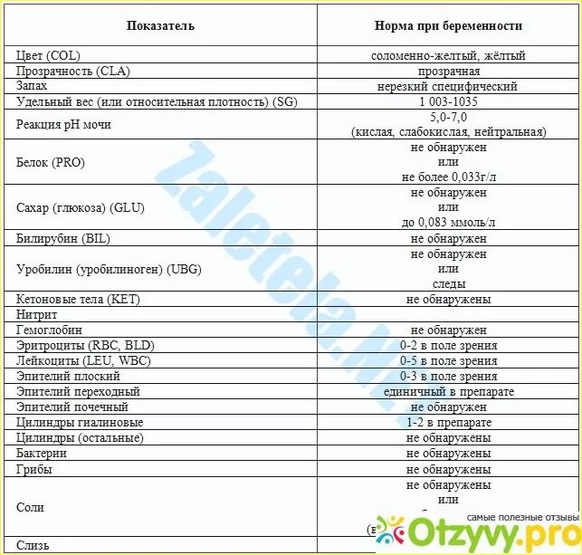 Bld в анализе мочи у женщин. Анализ мочи у беременных норма 3 триместр общий расшифровка. Общий анализ мочи расшифровка у беременных 1 триместр. Расшифровка анализа мочи общий у беременных таблица. Общий анализ мочи при беременности расшифровка и нормы для женщин.