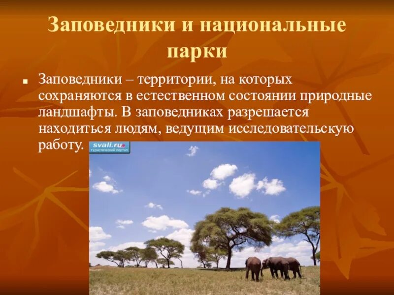 Изменение природы под воздействием человека. Заповедники Африки 7 класс география. Заповедники и национальные парки Африки 7 класс. Национальные парки Африки 7 класс география. Заповедники Африки презентация.