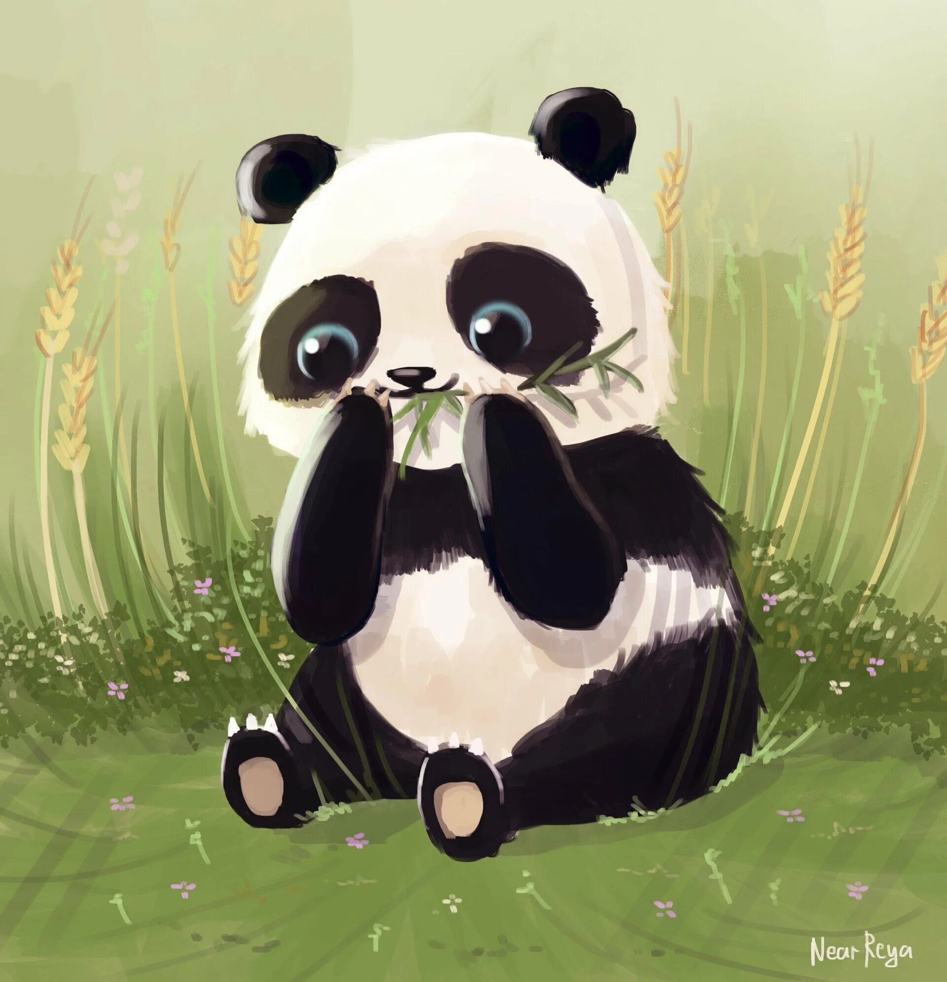 Пандочки мультяшные. Панда арт. Пандочка арт. Милые панды. Картинка милой панды