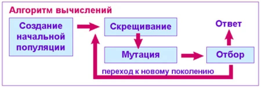 Эволюционно генетический алгоритм. Схема генетического алгоритма. схема работы генетического алгоритма. генетический алгоритм. принцип работы генетического алгоритма.