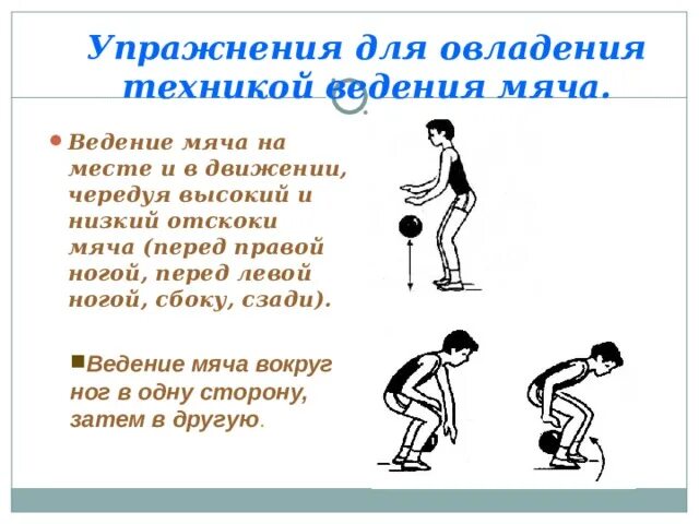 Техника выполнения ведения. Ведение мяча на месте. Методика ведения мяча в баскетболе.