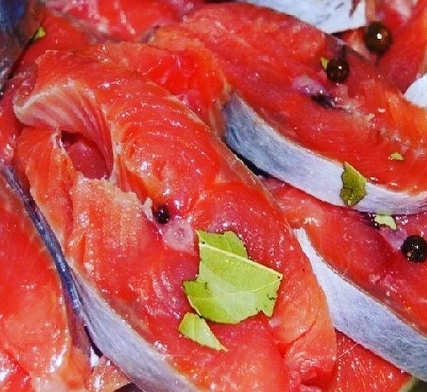 горбуша соленая консервы. горбуша в масле рецепт быстрая засолка. горбуша соленая целиком. засолка рыбы с маслом и водкой. горбуша малосольная.