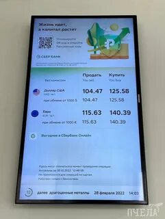 За сколько можно продать доллар в сбербанке
