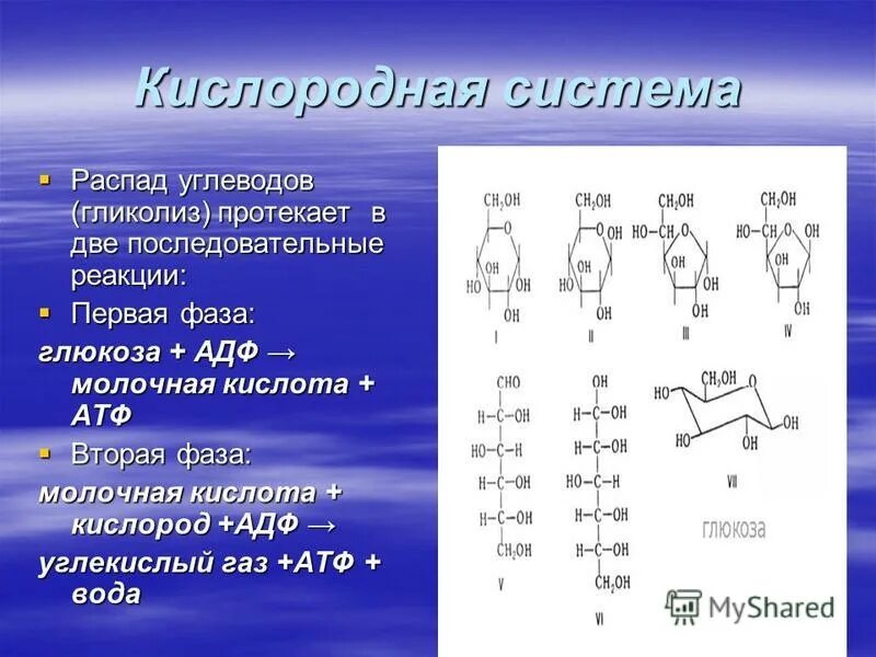 Конечный распад углеводов