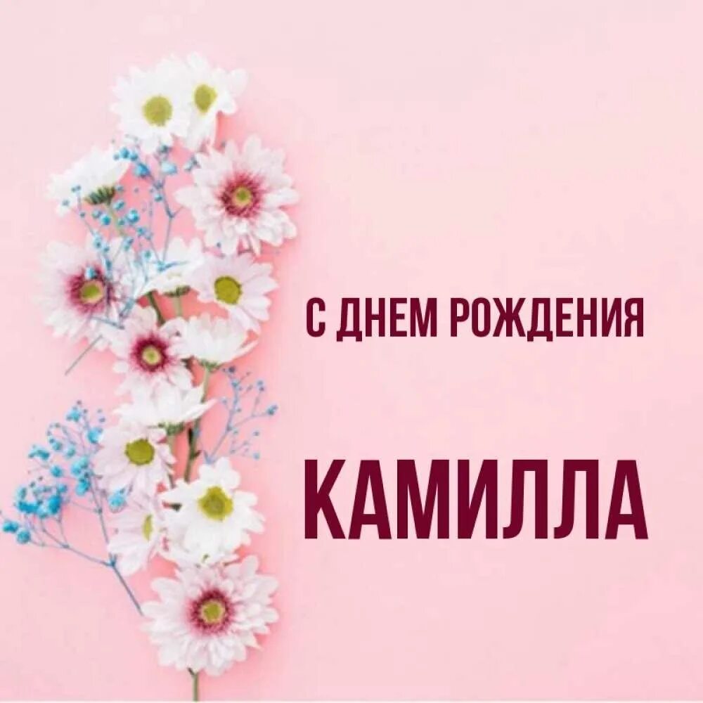 С днёмрождениякамилла. С днём рождения Камилк. Яс днем рождения Камила. С днём рождения Кэмилэ. Открытки с днем рождения камилы