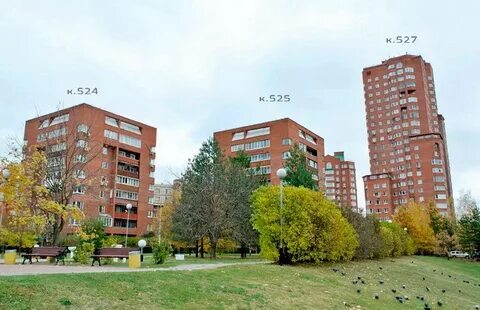 Зеленоград 5