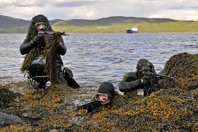 Морской спецназ фото Уникальный подводный пистолет СПП-1. Огнестрельное оружие боевых пловцов. Сооб