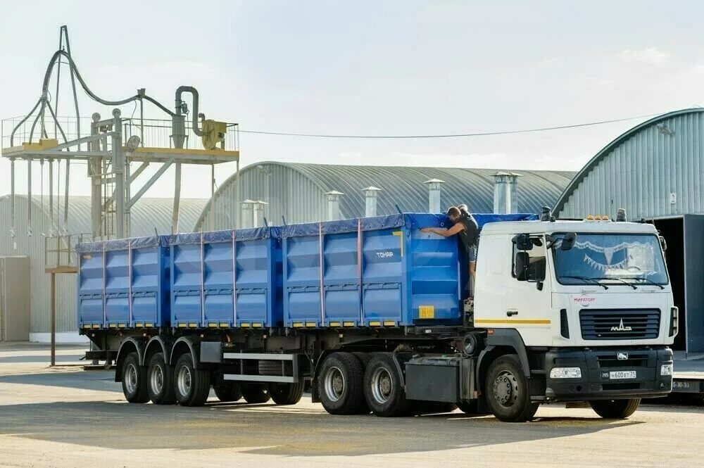 Полуприцеп зерновоз тонар. Маз 6501а8 колос. Зерновоз камаз 552911. Маз колос зерновоз. Машины для перевозок пшеницы.