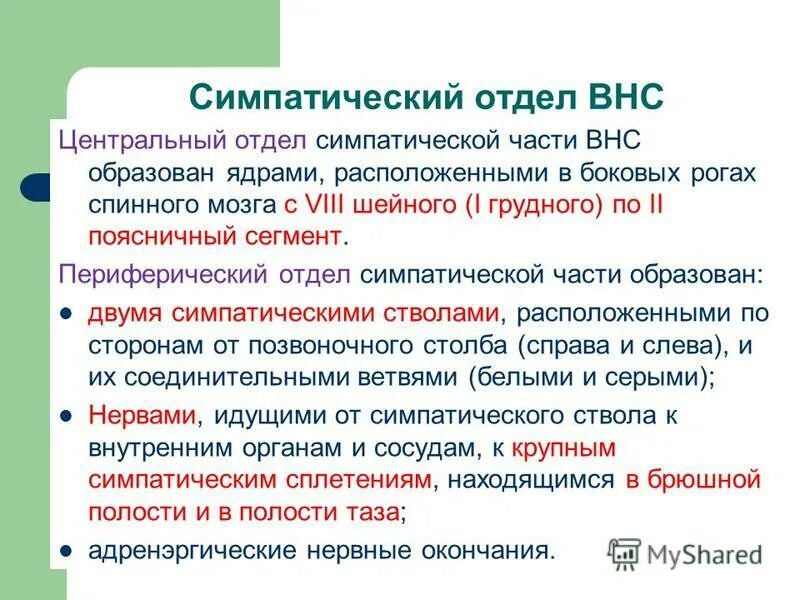 особенности строения внс. симпатическая парасимпатическая метасимпатическая нервная система. общая характеристика автономной нервной системы. общая характеристика автономной нервной системы. основные функции вегетативной нервной системы.