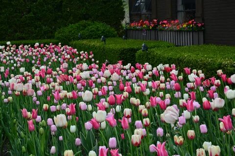 Spring works