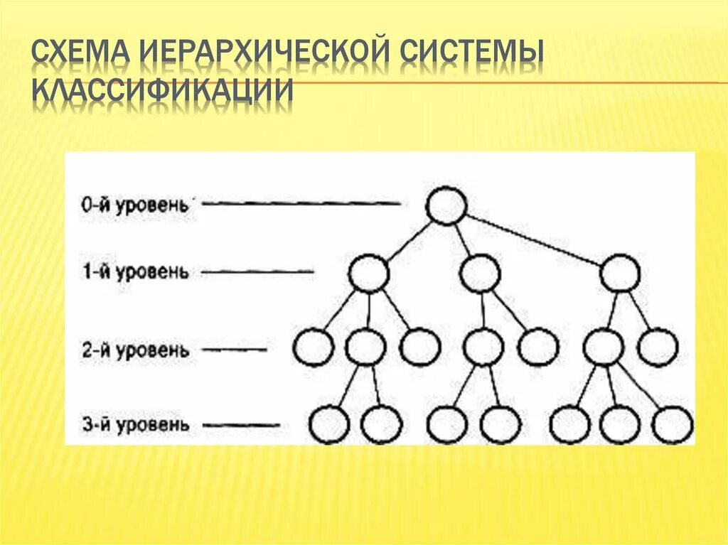 Иерархия взаимодействий. Иерархическая система классификации. Иерархическая схема классификации. Иерархия схема. Иерархическая цепочка.