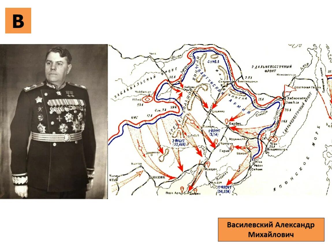 Сражение в районе луги василевский. Василевский в японской войне.