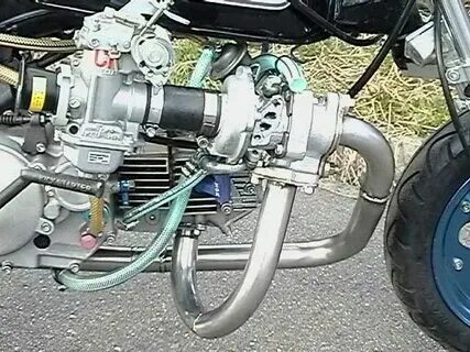 Отстрелы на альфе 110