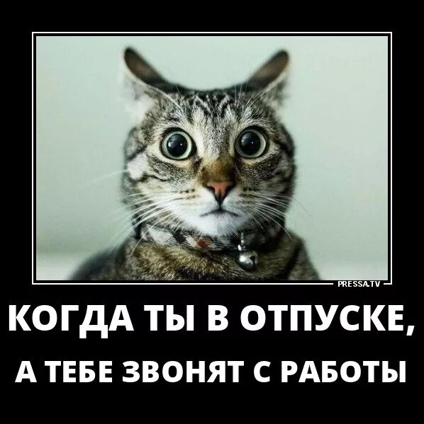 Когда работает стоит когда кончается. Info. Статус про понедельник. Все когда нибудь заканчивается. Когда работает стоит когда кончается.
