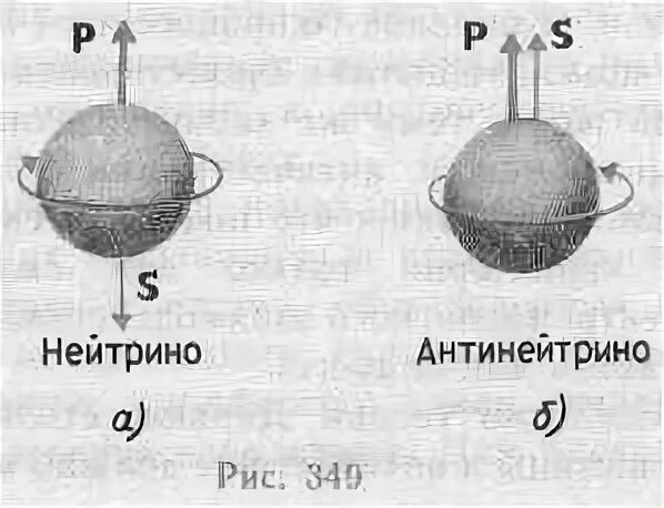 Собрат электрона и нейтрино