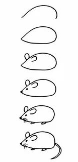 Как нарисовать мышку и крысу поэтапно.