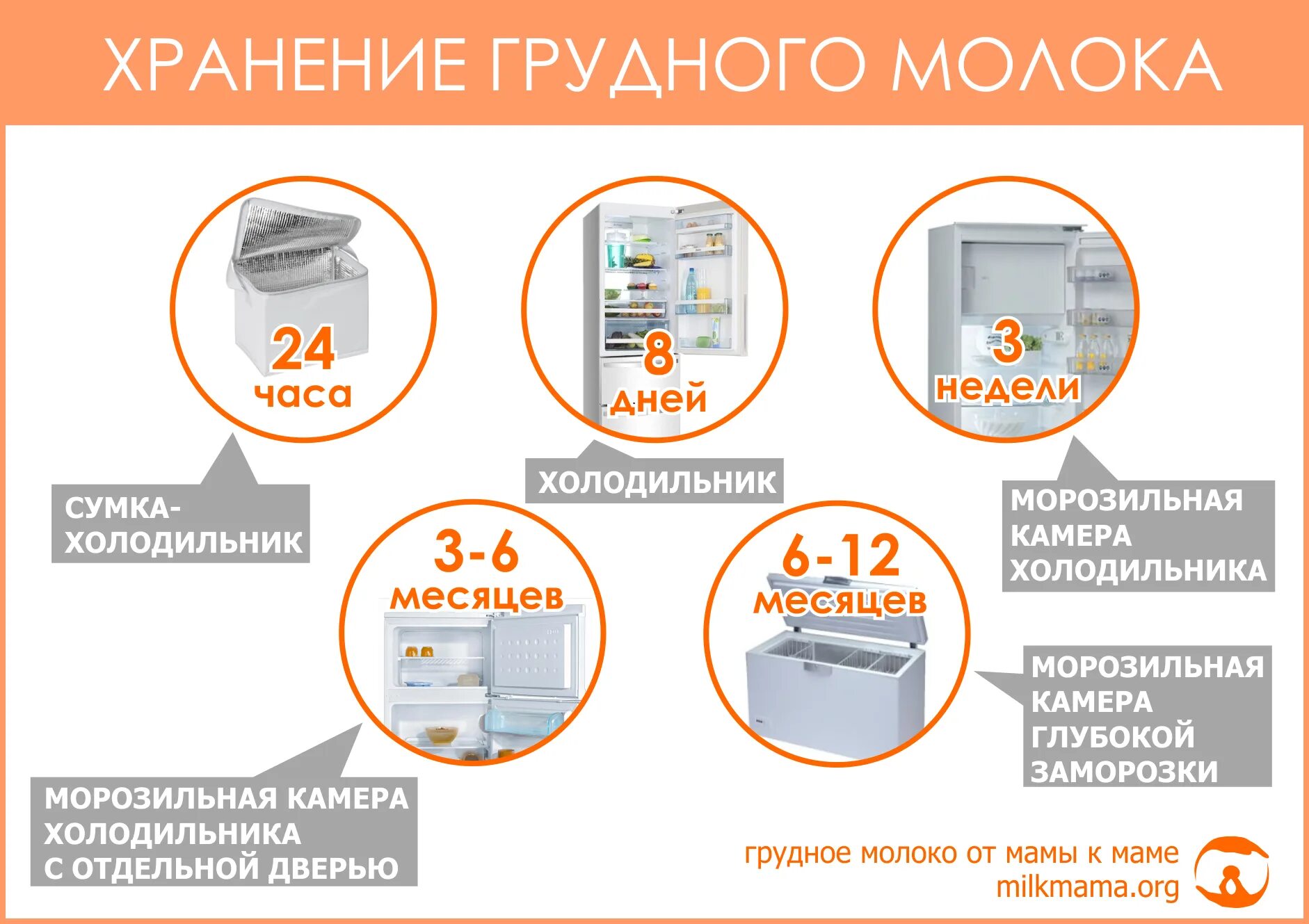 Сколько можно держать грудное. Срок годности хранения грудного молока. Срок хранения грудного молока после сцеживания. Как долго можно хранить сцеженное молоко. Срок годности сцеженного молока в холодильнике.