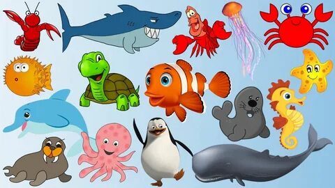 See animals