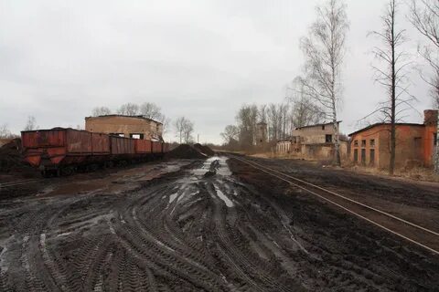 Погода в угловке новгородской