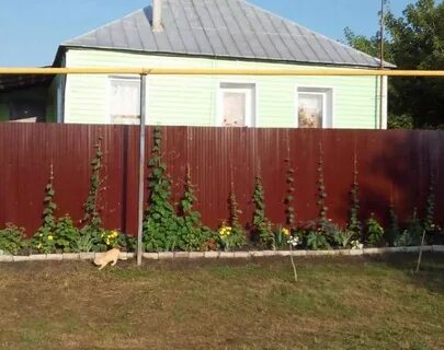Барахолка ракитное красная яруга белгородская