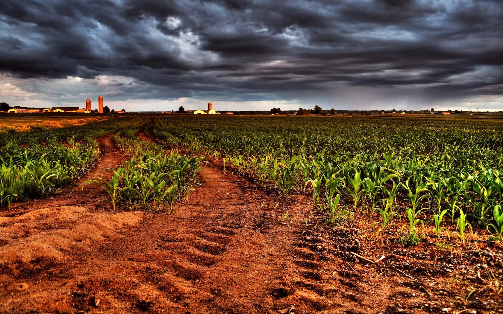 Плодородные почвы в северной америке. Джорджия плантации. Сельское хозяйство Австралии поля кукурузы. Пампа Аргентина сельское хозяйство. Ферма кукурузные поля в США.