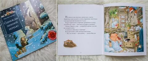 Однажды зимней ночью