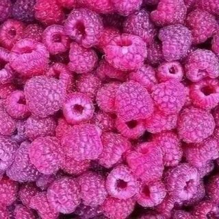 Фиолетовая малина