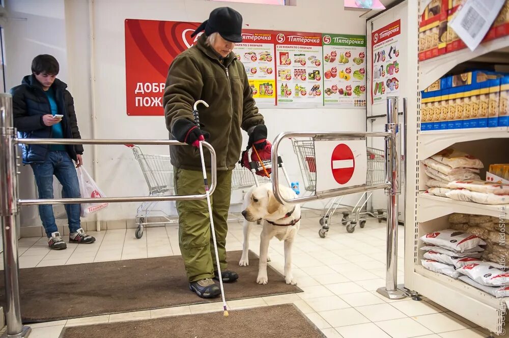 Можно ли в тц с собакой. Инвалид с собакой поводырем. слепые в магазине. человек с собакой в магазине. собака поводырь в магазине с человеком.