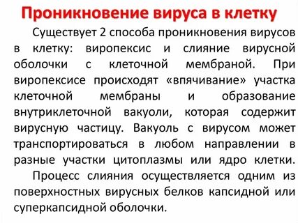 Какие вирусы проникают в клетку