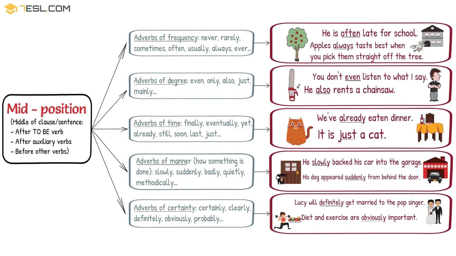 Adverbs position in a sentence. Position of adverbs. Adverbs of Frequency правило. The position of adverbs and adverbial phrases. Just adverb