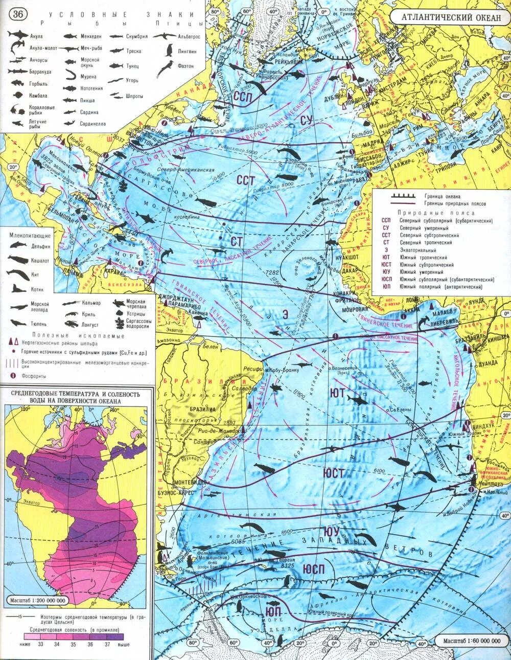 Карта Атлантического океана 7 класс. Карта Атлантического океана 7 класс атлас. Контурная карта по географии 7 класс Атлантический океан. Тихий океан условные знаки на карте