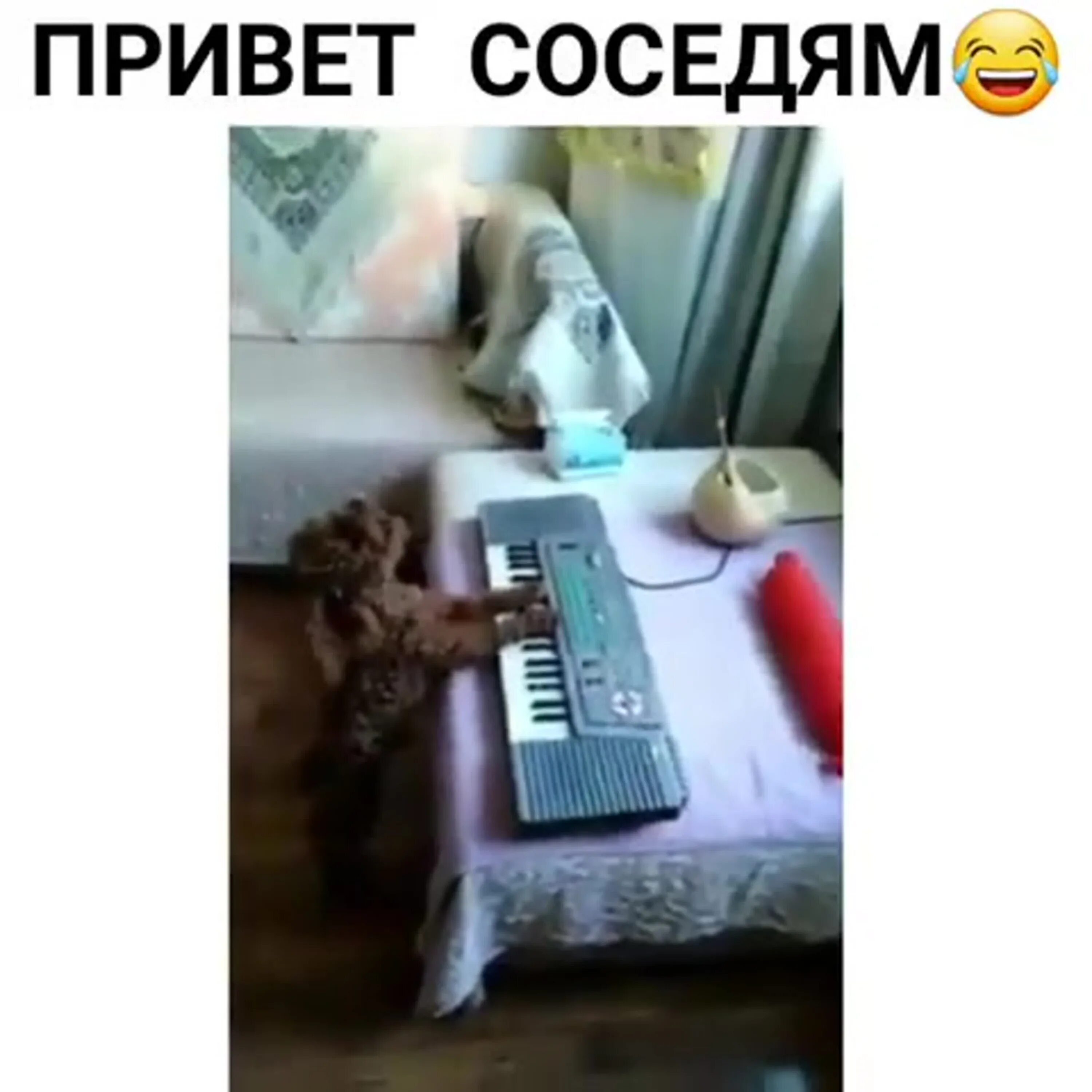 Привет звонкий