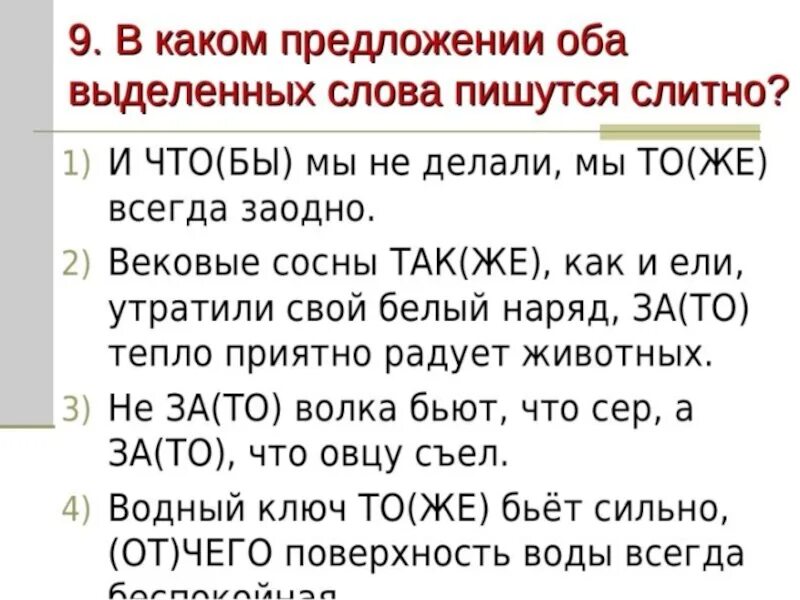 Как пишется тоже в предложении. Слитное и раздельное написание союзов. Слитное и раздельное написание союзов также тоже чтобы. Задания на правописание союзов. Слитное и раздельное написание союзов 7 класс.